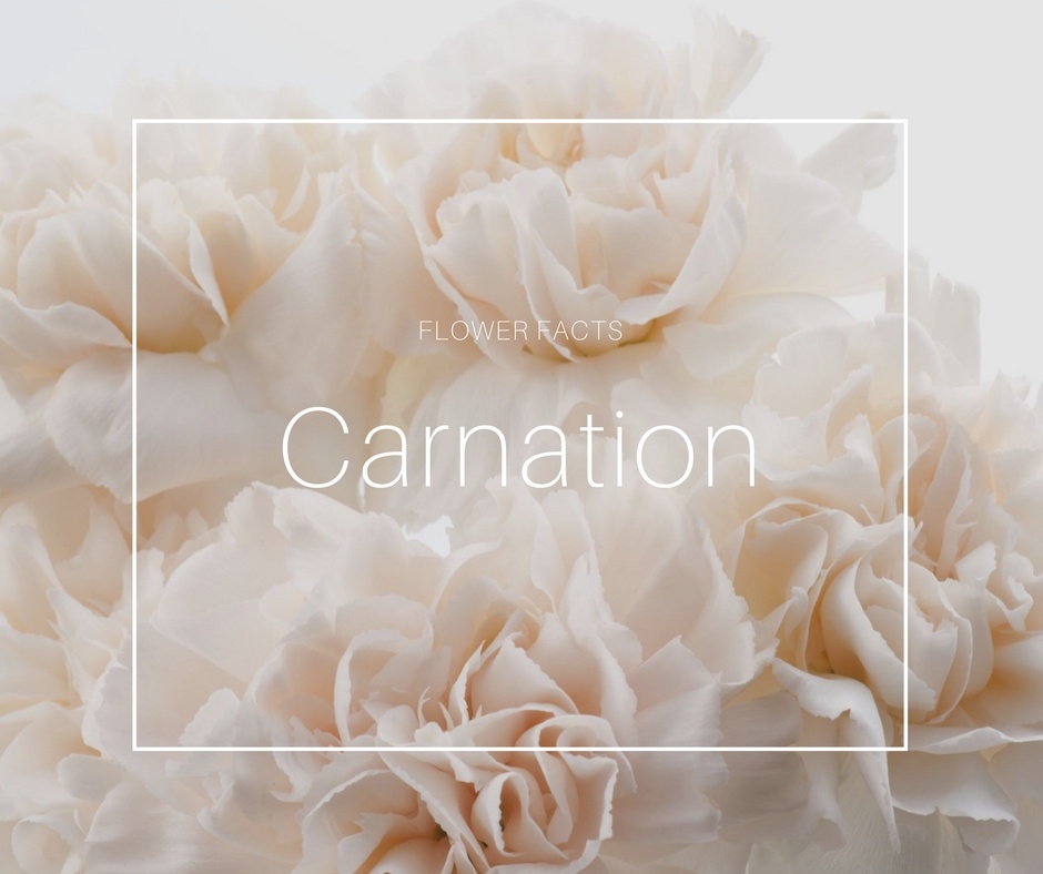 Flower News eFlorist Blog